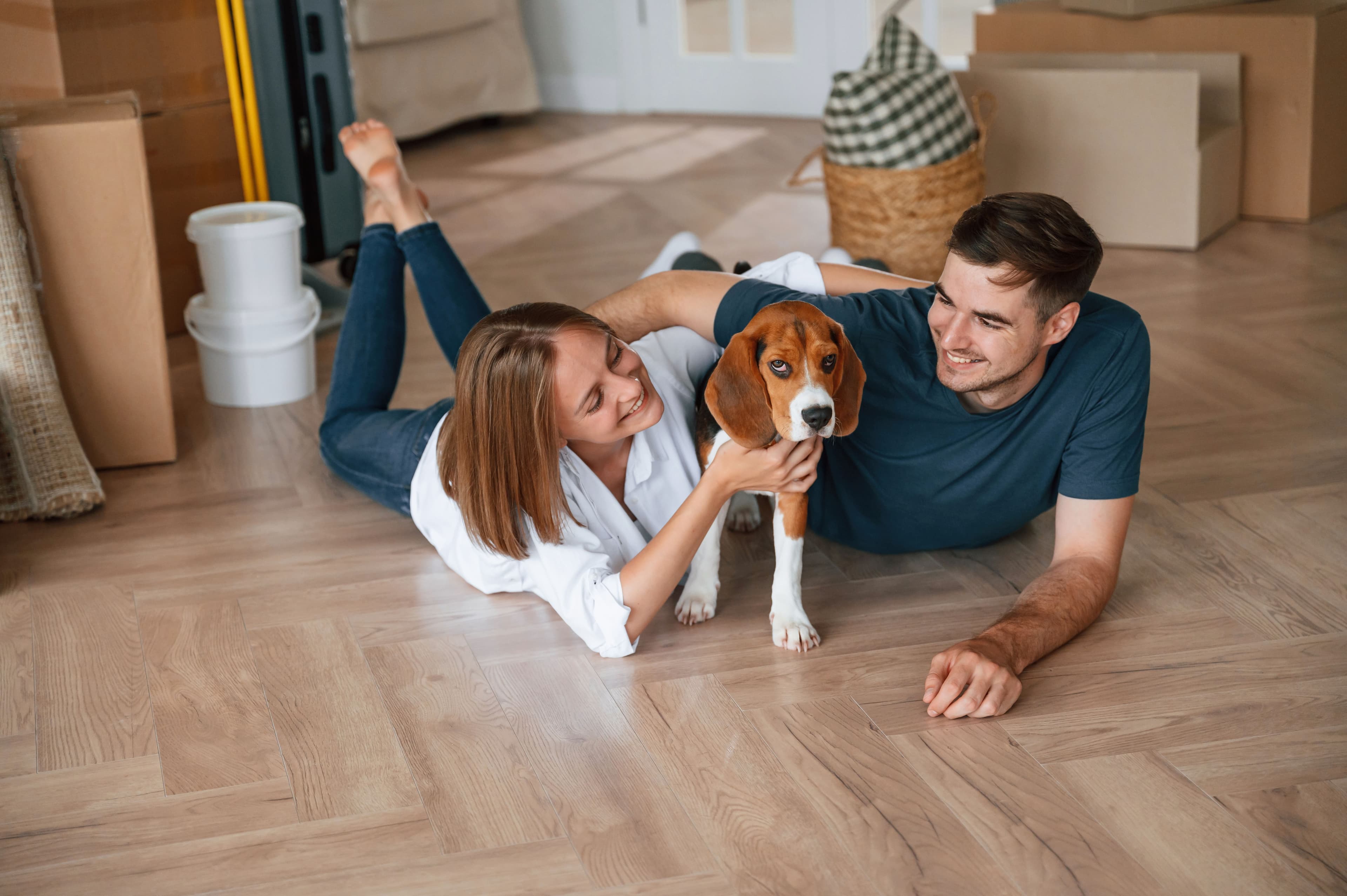 Article Casa com alma de bicho: como a arquitetura se adapta à vida com pets thumbnail