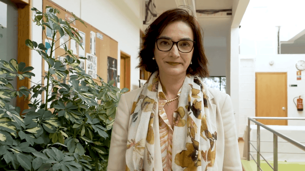 Article Mulheres portuguesas thumbnail